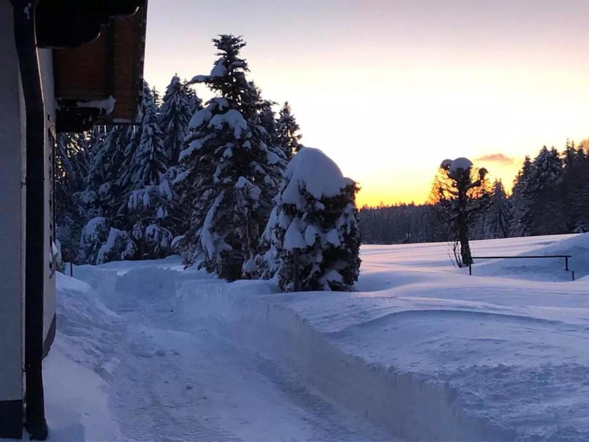 フロイデンシュタット Bergsternヴィラ エクステリア 写真