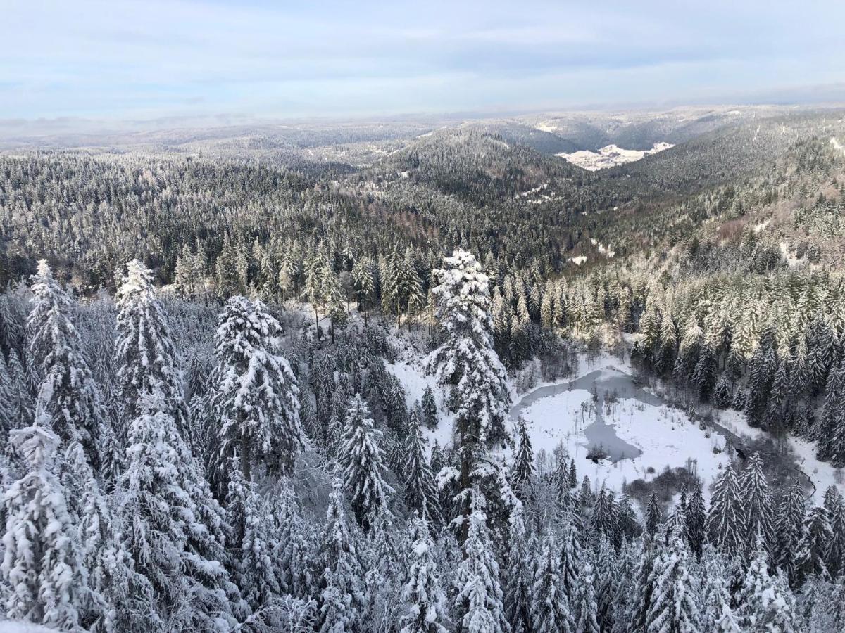 フロイデンシュタット Bergsternヴィラ エクステリア 写真