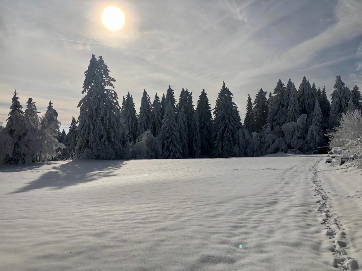 フロイデンシュタット Bergsternヴィラ エクステリア 写真