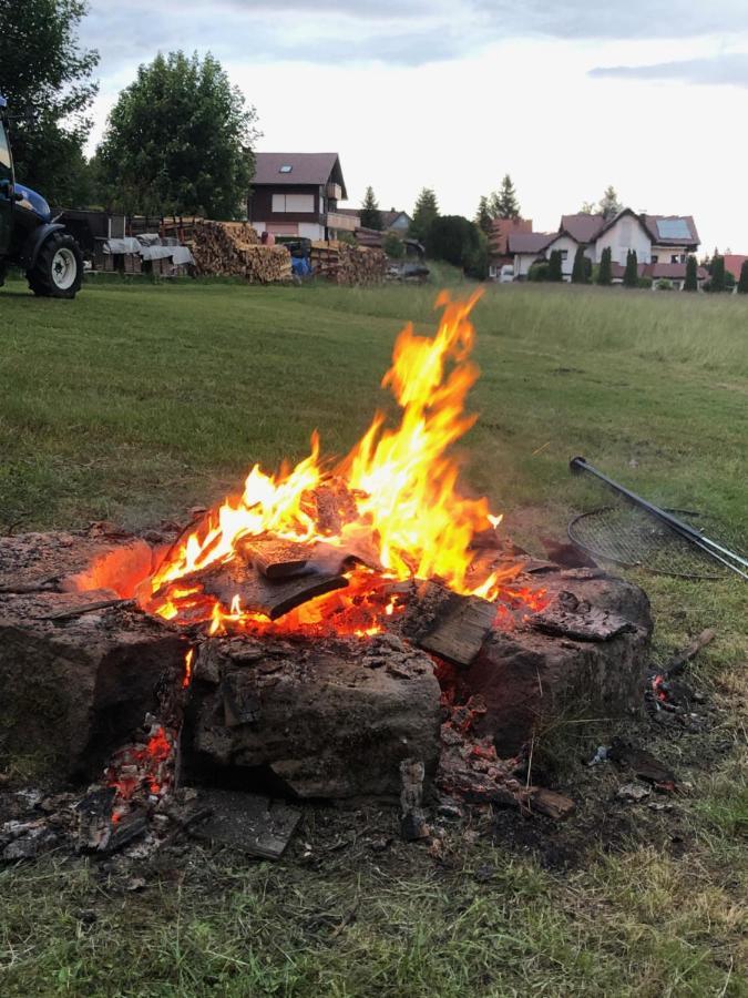 フロイデンシュタット Bergsternヴィラ エクステリア 写真